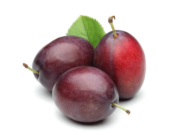 Ciruelas Damson Con Hoja Aislada Sobre Fondo Blanco —  Fotos de Stock