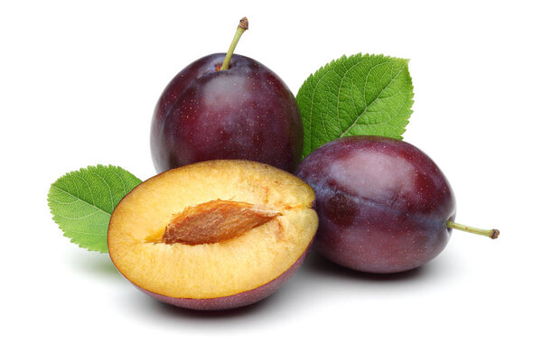 Damson plums with leaf isolated on white background