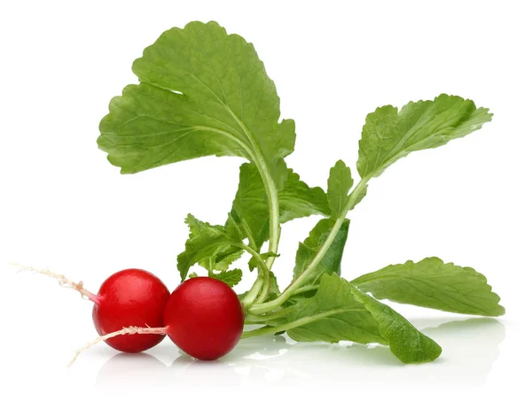 Red Radish Green Leaves White Background — Stock Photo, Image