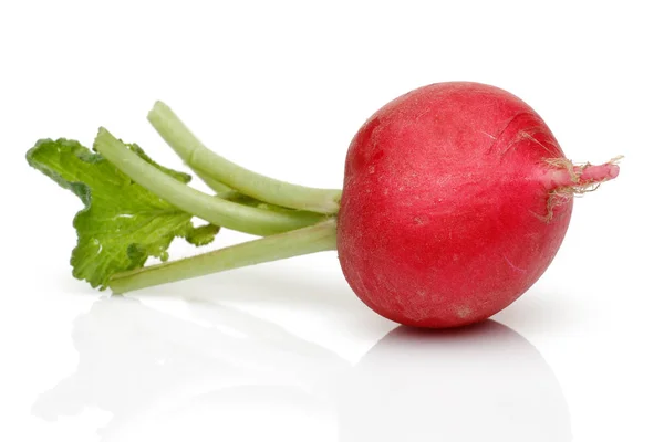 Rode Radijs Groene Bladeren Witte Achtergrond — Stockfoto