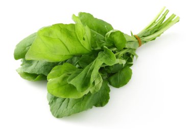 Taze rucola beyaz arka plan üzerinde izole demet
