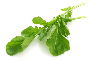 Taze rucola beyaz arka plan üzerinde izole demet