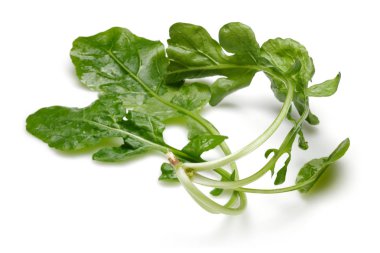 Taze rucola beyaz arka plan üzerinde izole demet