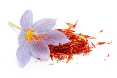 Safran bitkisi çiçek beyaz arka plan üzerinde izole ile