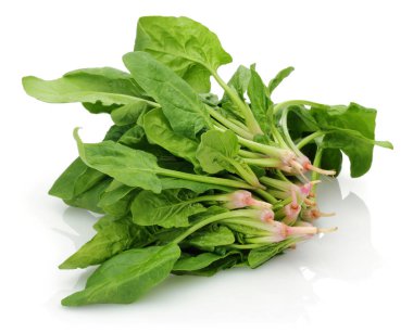 taze ıspanak üzerinde beyaz arka plan izole