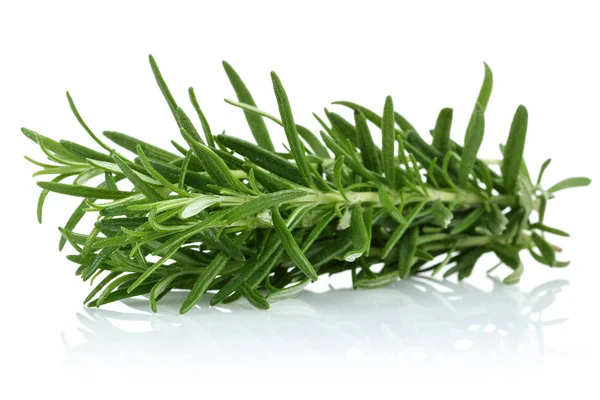 Fresh Rosemary Isolated White Background — Stock Photo, Image