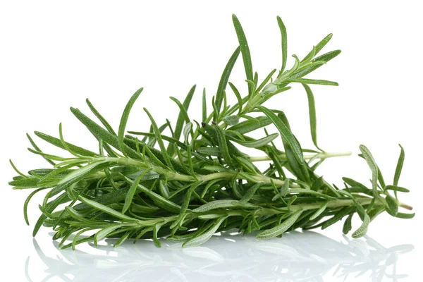 Fresh Rosemary Isolated White Background — Stock Photo, Image