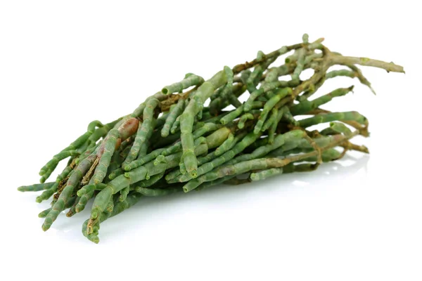 Gröna Samphire Eller Med Salicornia Växter Isolerad Vit Bakgrund — Stockfoto