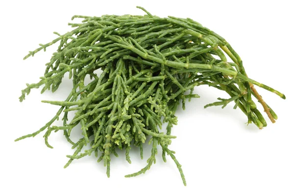 Gröna Samphire Eller Med Salicornia Växter Isolerad Vit Bakgrund — Stockfoto