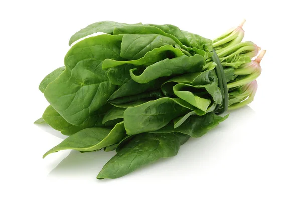 Fresh Spinach Isolated White Background — Stock Photo, Image