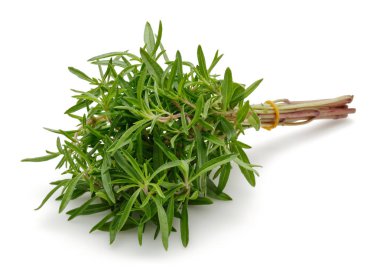 Beyaz arkaplanda izole edilmiş taze yeşil kekik