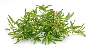 Beyaz arkaplanda izole edilmiş taze yeşil kekik