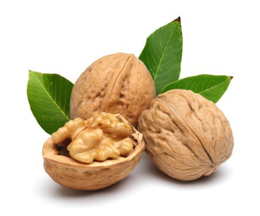 beyaz arkaplanda yapraklı cevizler