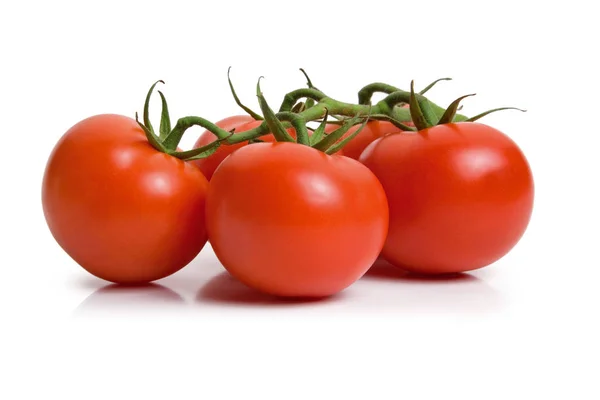 Fresh Tomatoes Isolated White Background — Stock Photo, Image