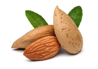 yapraklar üzerinde beyaz izole bademli