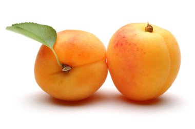 Beyaz izole yaprak taze kayısı meyve