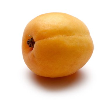 Beyaz izole tek taze kayısı