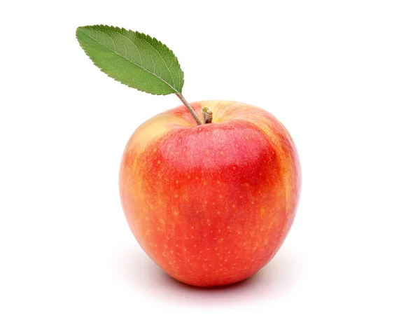 Manzana de gala única con hoja aislada — Foto de Stock
