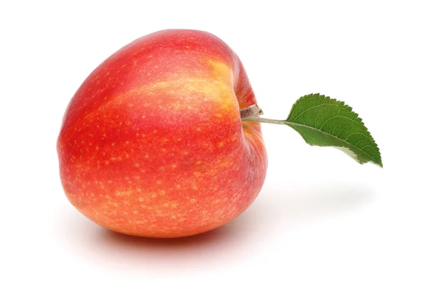Single gala apple with leaf isolated — Stock Photo, Image