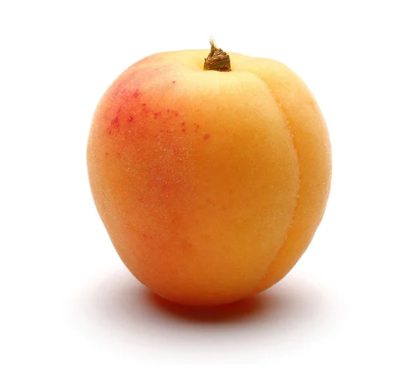 Одиночний свіжий абрикос ізольований на білому — стокове фото