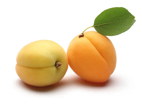 Fresh apricot fruits with leaf isolated on white — Stock Photo, Image