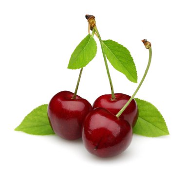 Olgun kırmızı kiraz izole yeşil yaprakları ile