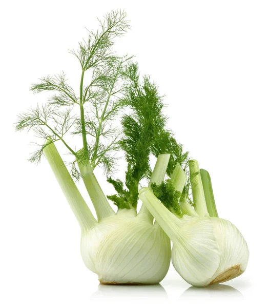 Verse venkel bollen met bladeren geïsoleerd op wit — Stockfoto