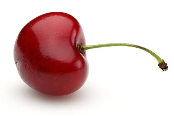 Zralé červené cherry s stonku, samostatný — Stock fotografie