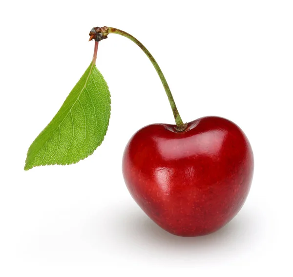 Cereza roja madura con tallo y hoja aislada — Foto de Stock