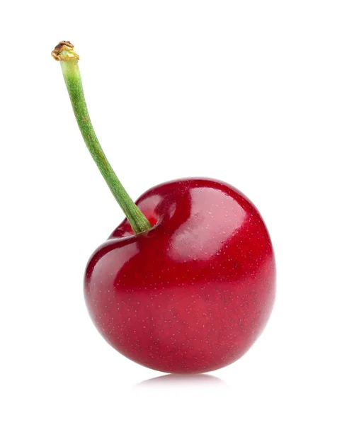 Zralé červené cherry s stonku, samostatný — Stock fotografie