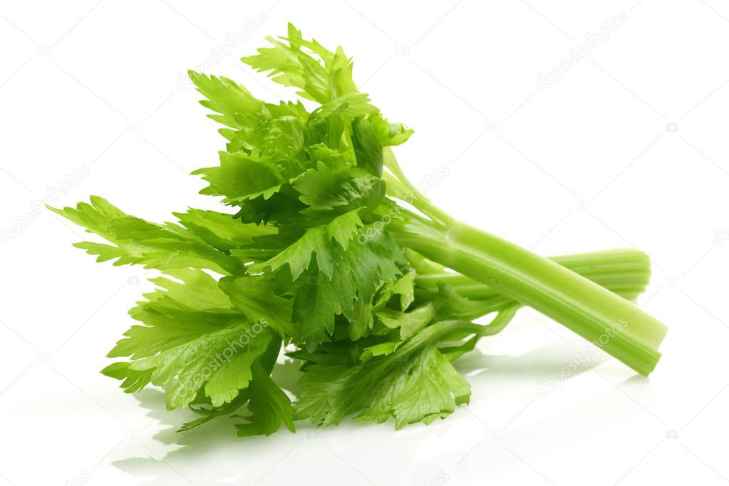 Fresh celery stalks and leaves isolated
