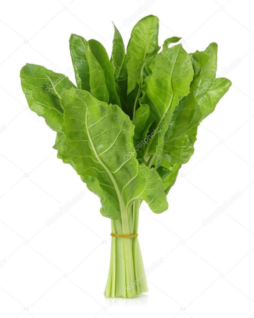 A bunch of fresh chard leaves isolated