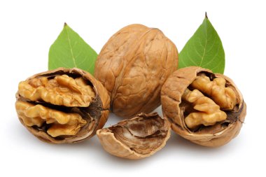 Ceviz ve kırık ceviz yaprağı izole