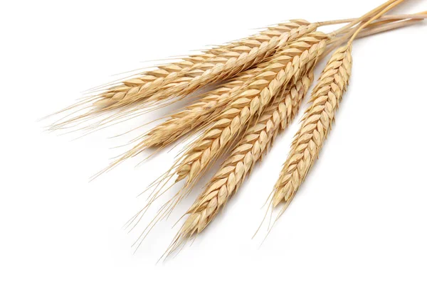 Parta z uší pšenice izolované na bílém — Stock fotografie