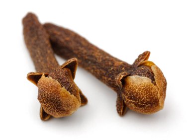 Kuru karanfil tomurcukları beyaz izole