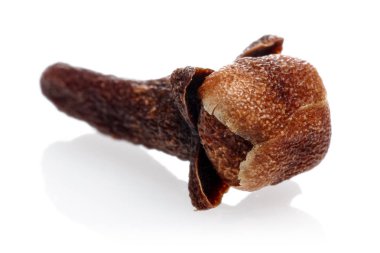 Beyaz izole kuru karanfil bud