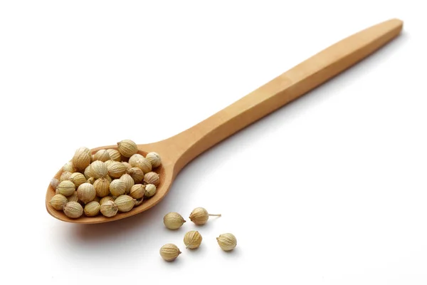 Suche nasiona kolendry w drewnianą łyżką na białym tle — Zdjęcie stockowe