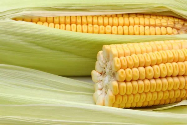 Frischer Mais und Blätter, vollständiger Rahmen — Stockfoto