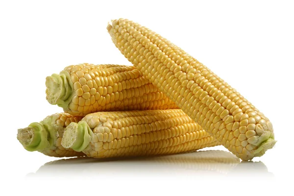 Fresh corn isolated on a white — Stock Photo, Image