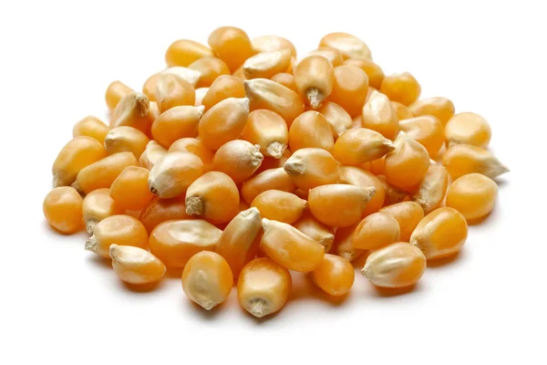 Купа золотих зерна кукурудзи ізольовані на білому — стокове фото