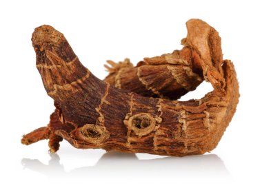 Havlıcan kökü üzerinde beyaz izole Kuru