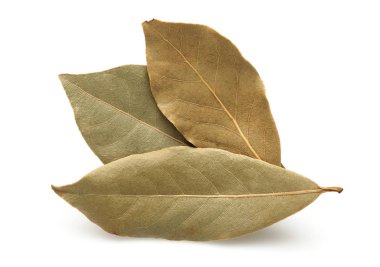 kurutulmuş defne yaprağı üzerinde beyaz izole