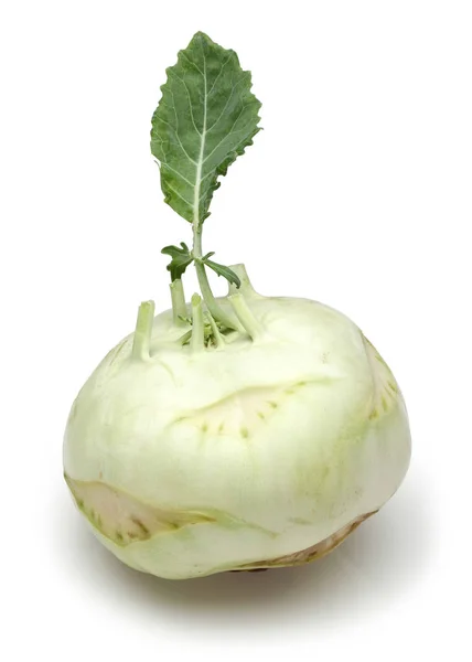 唯一白色 kohlrabi 与叶子查出在白色 — 图库照片