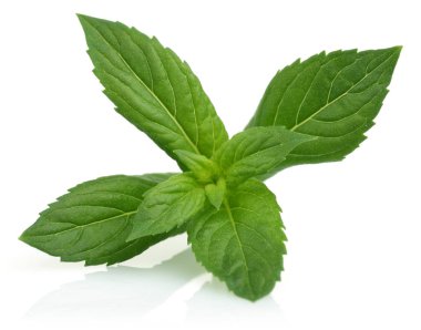 Taze nane yaprakları üzerinde beyaz izole