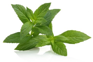 Taze nane yaprakları üzerinde beyaz izole