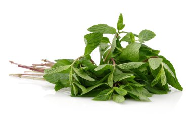 Taze nane yaprakları üzerinde beyaz izole