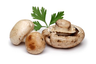 Mantar ve beyaz izole maydanoz