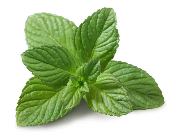 Fresh mint leaves isolated on white — Stock Photo, Image