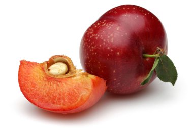 Yaprak üzerinde beyaz izole kırmızı Erik