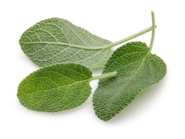 Yeşil adaçayı yaprakları üzerinde beyaz izole